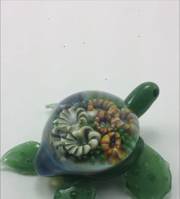 Green borosilicate glass turtle with a colorful implosion shell by Jose Valdes