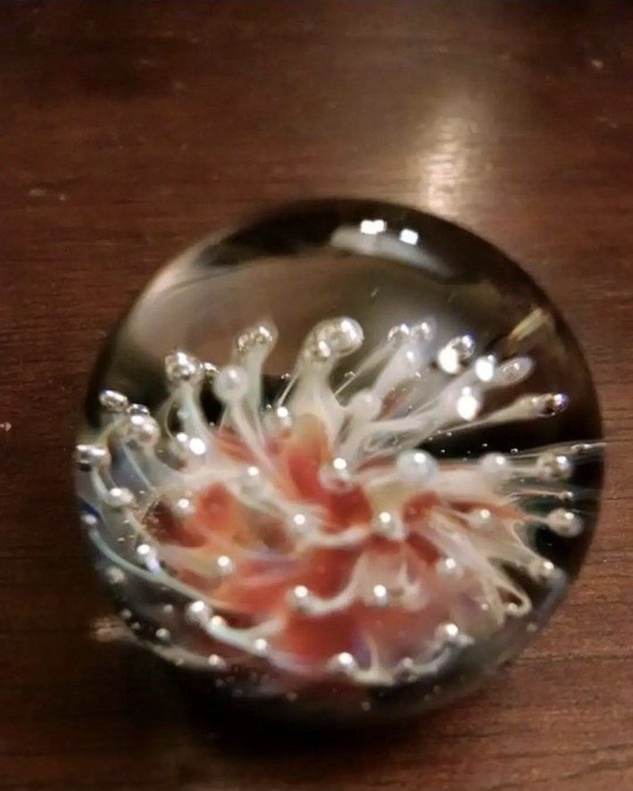 Red and white borosilicate glass flower marble by Jose Valdes