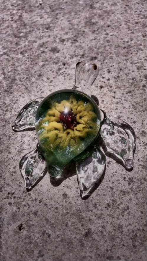 Green borosilicate glass sunflower turtle by Jose Valdes