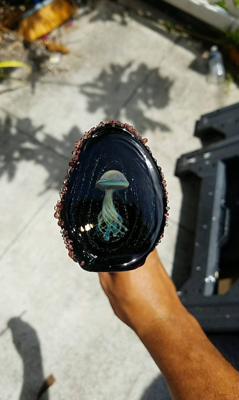 Framed glass jellyfish by Jose Valdes