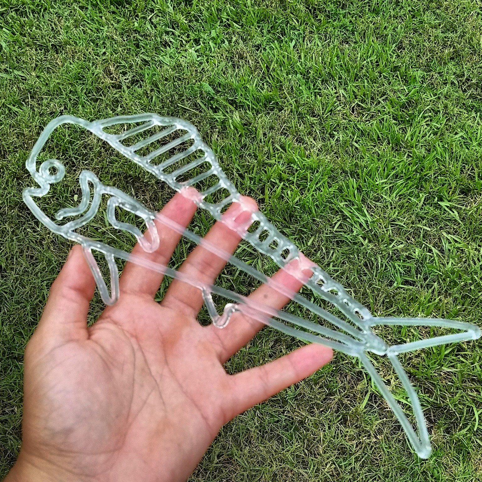Clear borosilicate fish skeleton by Jose Valdes