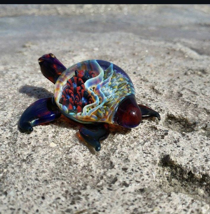 Borosilicate glass turtle by Jose Valdes