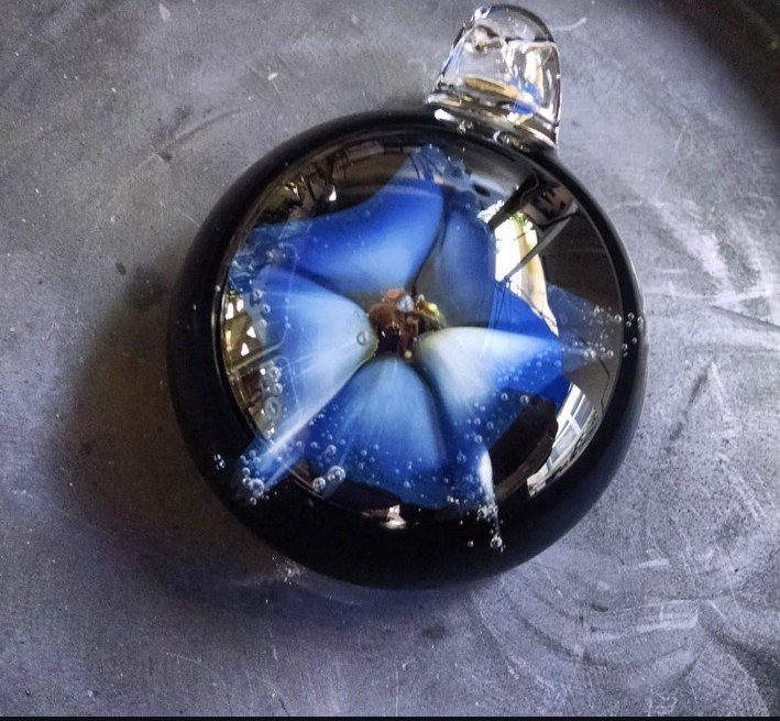 Encased glass flower by Jose Valdes